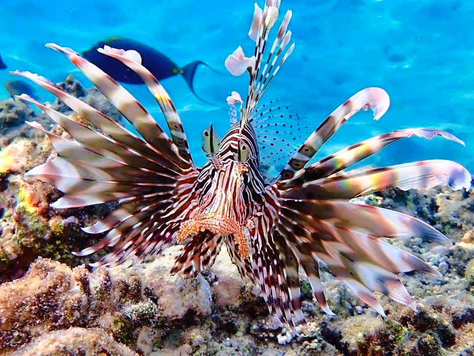 Spolek a  šaty odletí  k teplému moři  Egypt